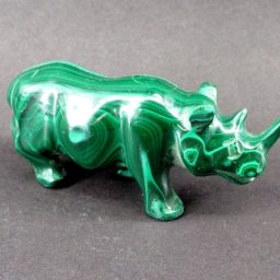 Malachite Rhinoceros