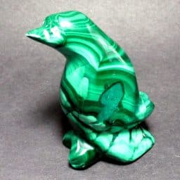 Malachite Penguin