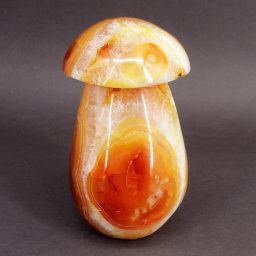 Carnelian Mushroom