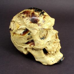 Amber Skull