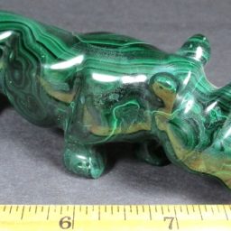 Malachite Rhinoceros