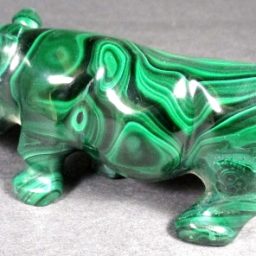 Malachite Rhinoceros