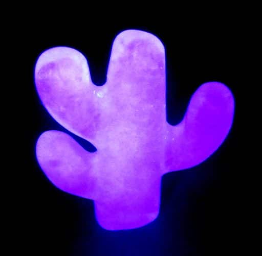 Fluorite Cactus