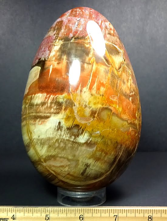 EGG406 Petrified Wood - The Rock Shed