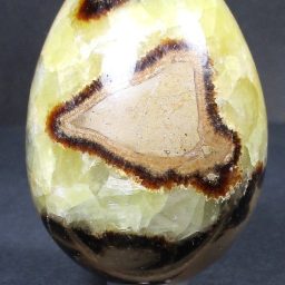 Septarian