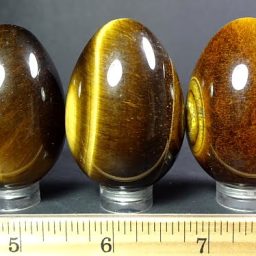 Tiger Eye egg