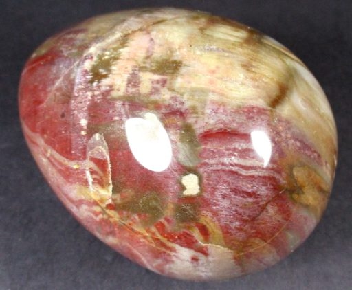 Petrified Wood