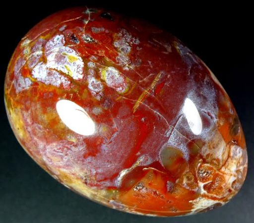 Petrified Wood egg from Madagascar