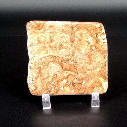 Stromatolite