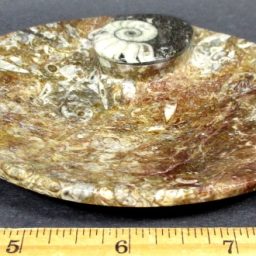 Fossil Rock Dish