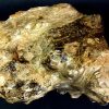 FO803  Ammonite - Image 4