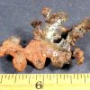 G203 Australian Copper - Image 2
