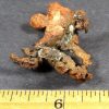 G203 Australian Copper - Image 3