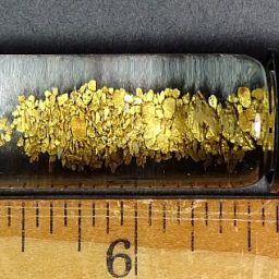 Black Hills Gold flakes enclosed in a vile with water from the Palmer Gulch area in the Black Hills of South Dakota