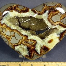 Septarian