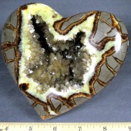 Septarian