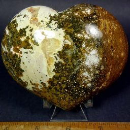 Sea Jasper