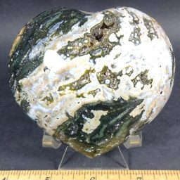 Sea Jasper