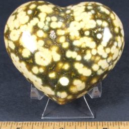 Sea Jasper