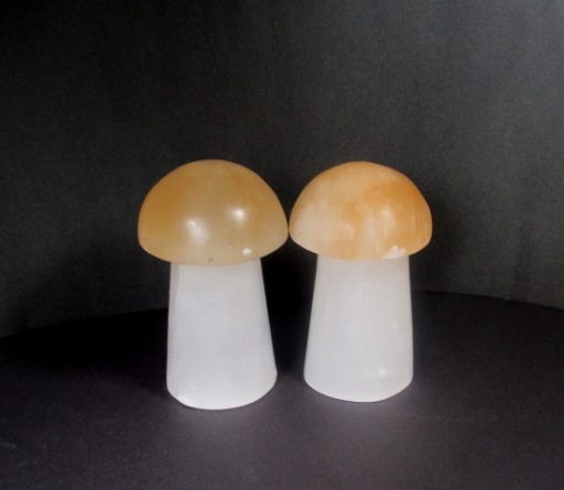 Selenite Mushroom Lamp