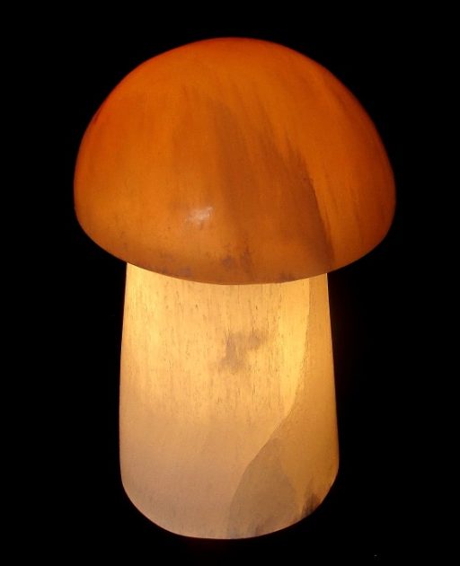 Selenite Mushroom Lamp