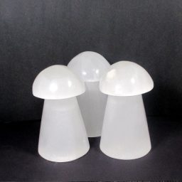 Selenite Mushroom Lamp