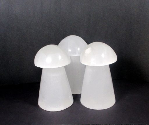 Selenite Mushroom Lamp