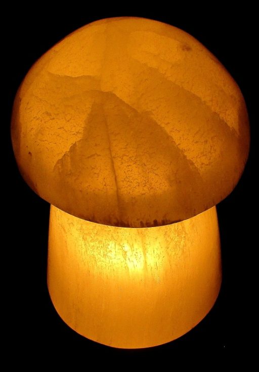 Selenite Mushroom Lamp