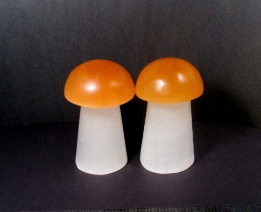 Selenite Mushroom Lamp