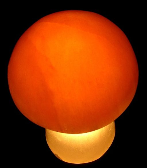 Selenite Mushroom Lamp