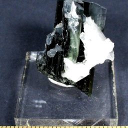 Green Tourmaline in Cleavelandite Matrix