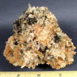 Creedite