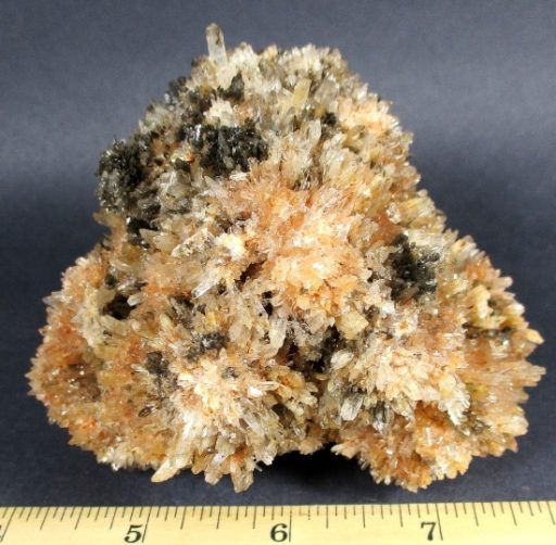 Creedite