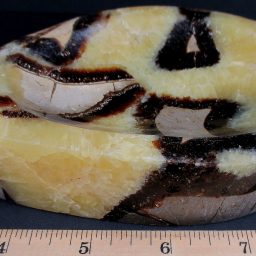 Septarian Dish