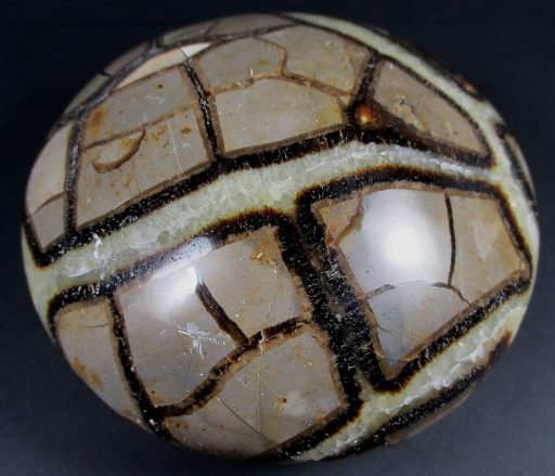 Septarian Disc