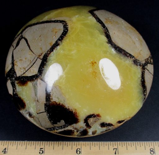 Septarian Disc