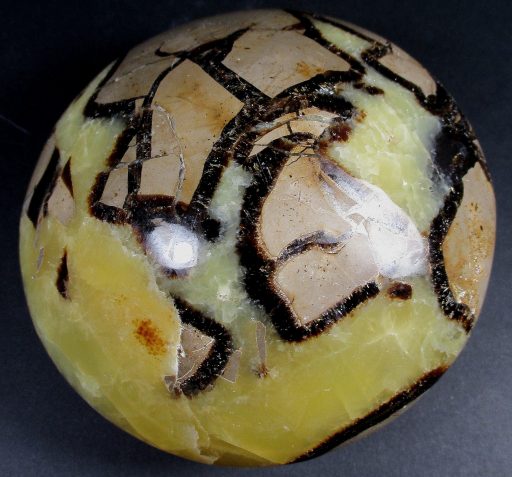 Septarian Disc