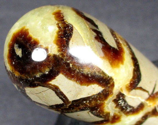 SEP102 Septarian Polished Wand - The Rock Shed