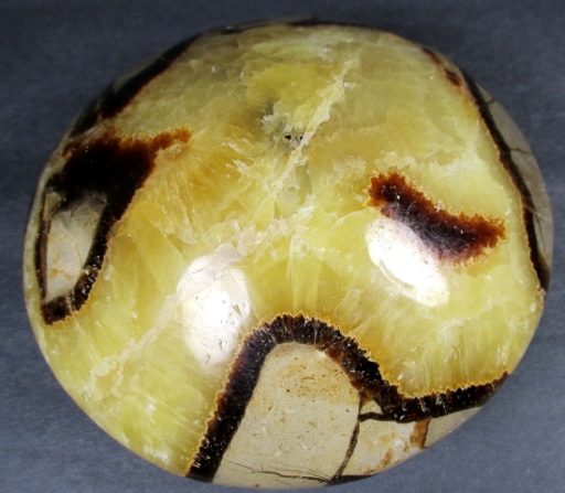 Septarian Disk