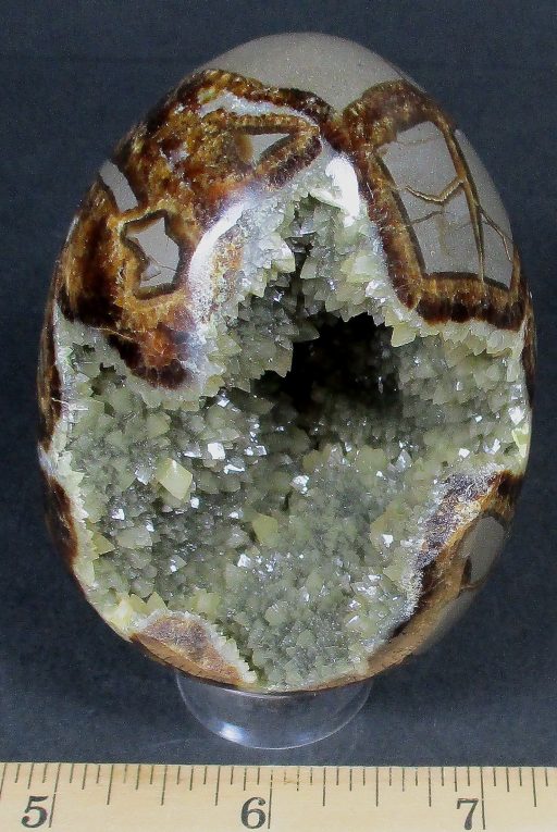 Septarian Egg