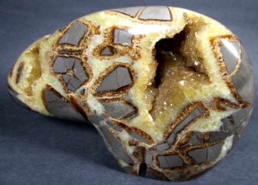 Septarian Bear