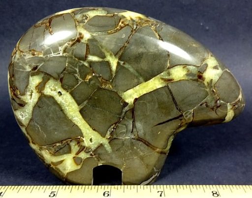 Septarian Bear