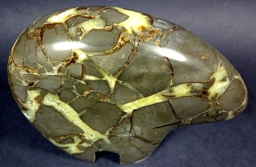 Septarian Bear