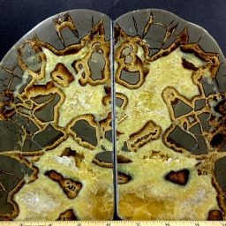 Septarian Bookends