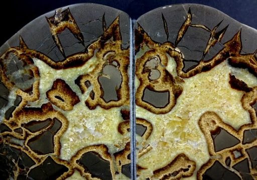 Septarian Bookends