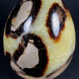 Septarian Egg