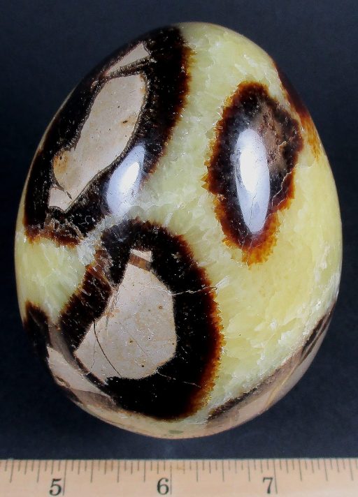 Septarian Egg