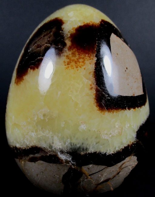 Septarian Egg