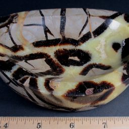 septarian