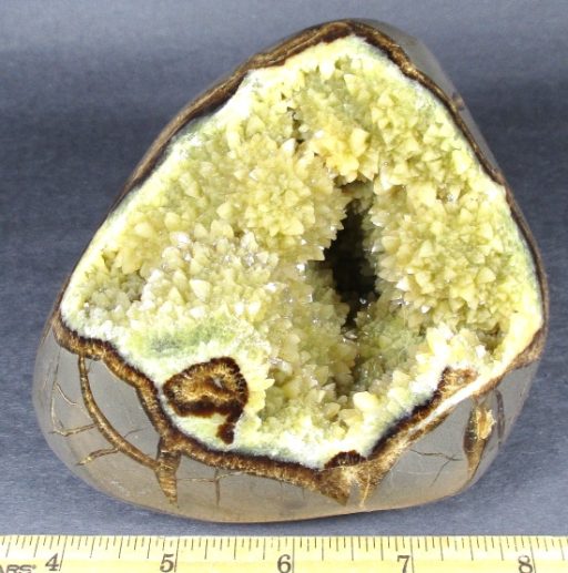 Septarian Endcut